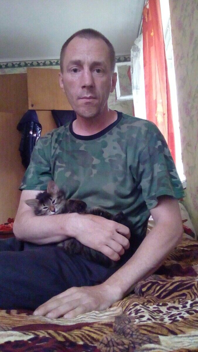 ���� 22233813 ������� ������, 48 ���, ���� ���������� � ������