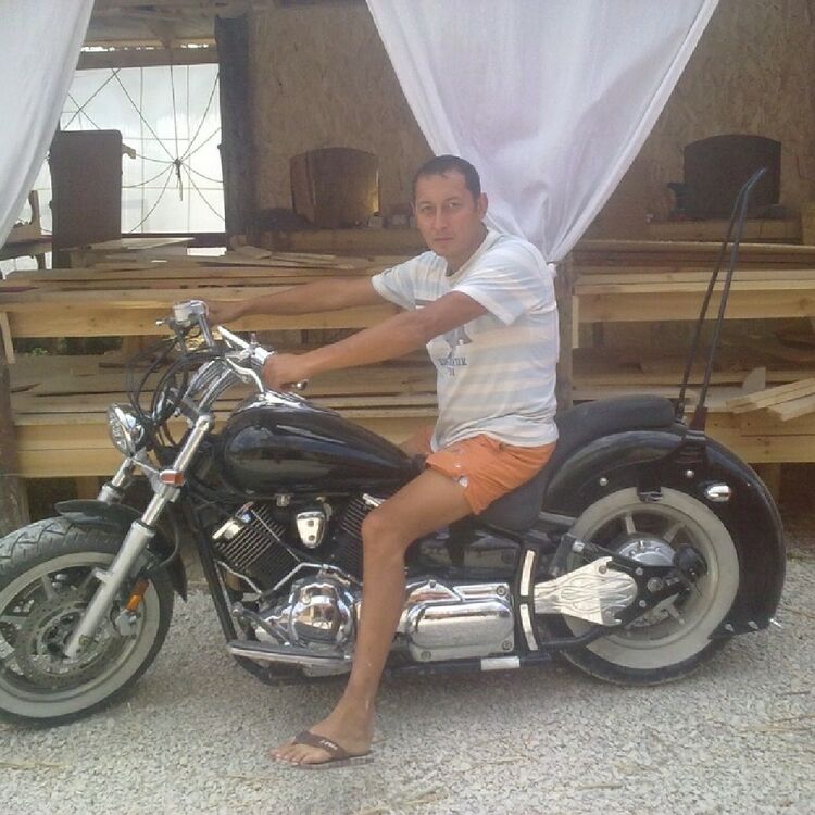 ���� 15340123 ������� ������, 55 ���, ���� ���������� � �����������