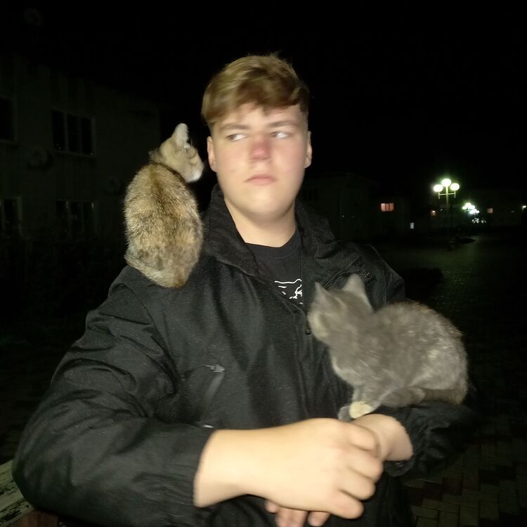 ���� 38793843 ����� �������, 20 ���, ���� ���������� � �����