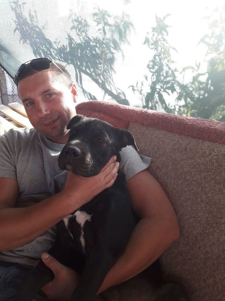 ���� 25317813 ������� ������, 40 ���, ���� ���������� � ����