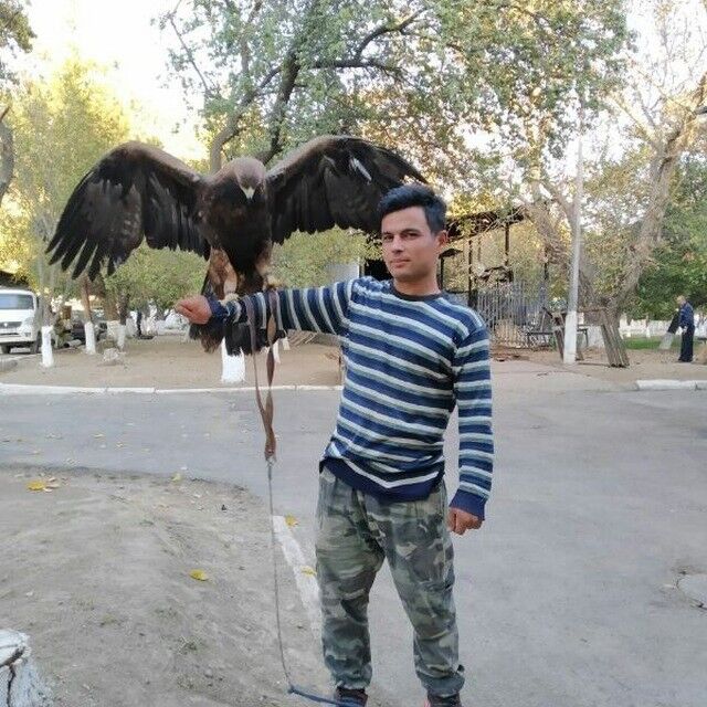  18675273  Temur uzb, 32 ,    
