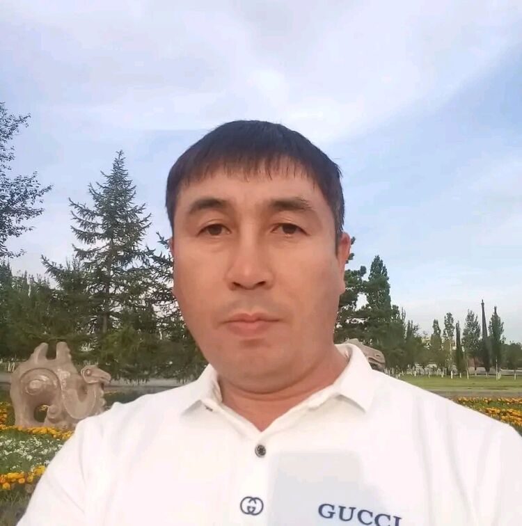 39329363  , 50 ,    