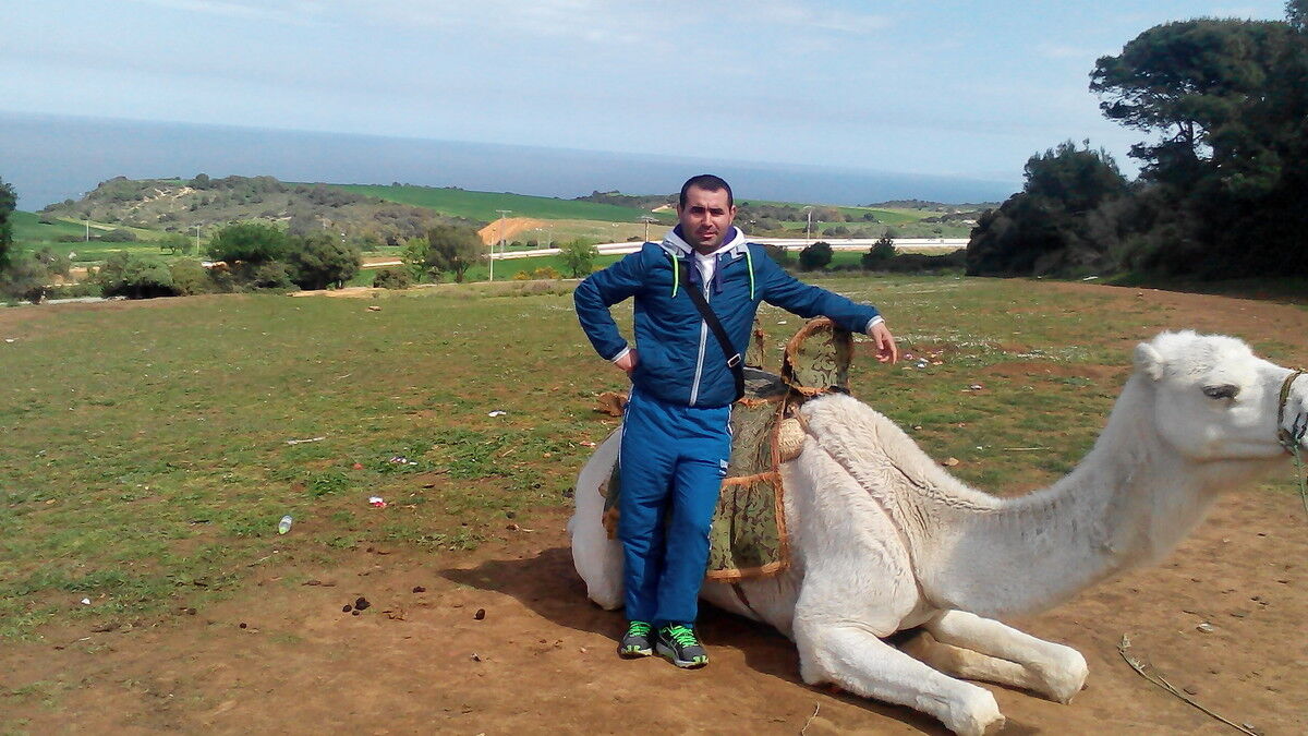  ,   Sami, 44 ,     , c 