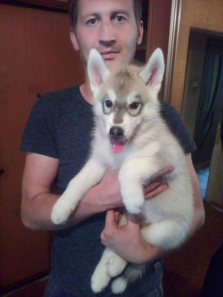 ���� 18746873 ������� Pavel, 41 ���, ���� ���������� � ������