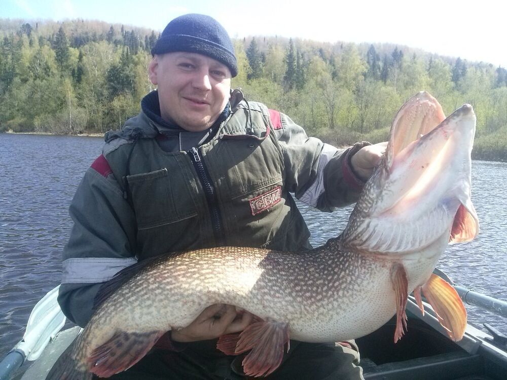 ���������� �����-��������, ���� ������� ������, 40 ���, ������������ ��� ����� � ���������, c�������� ���������