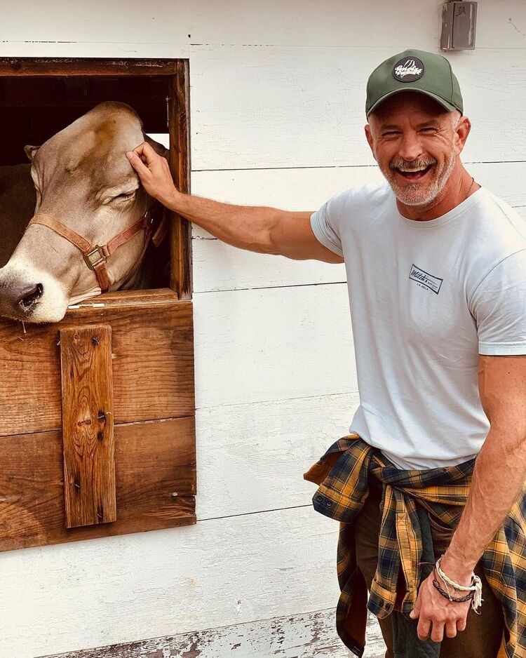 ���������� ������, ���� ������� Alexander, 60 ���, ������������ ��� ������, ����� � ���������