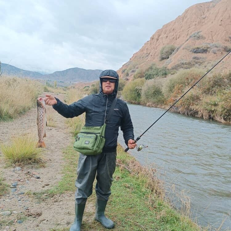 ���� 49334083 ������� ����, 30 ���, ���� ���������� � �������