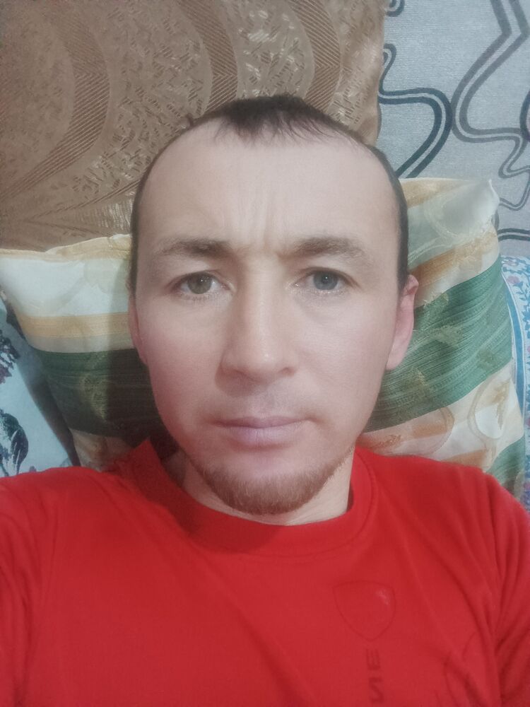  54620083  Wolf, 36 ,    