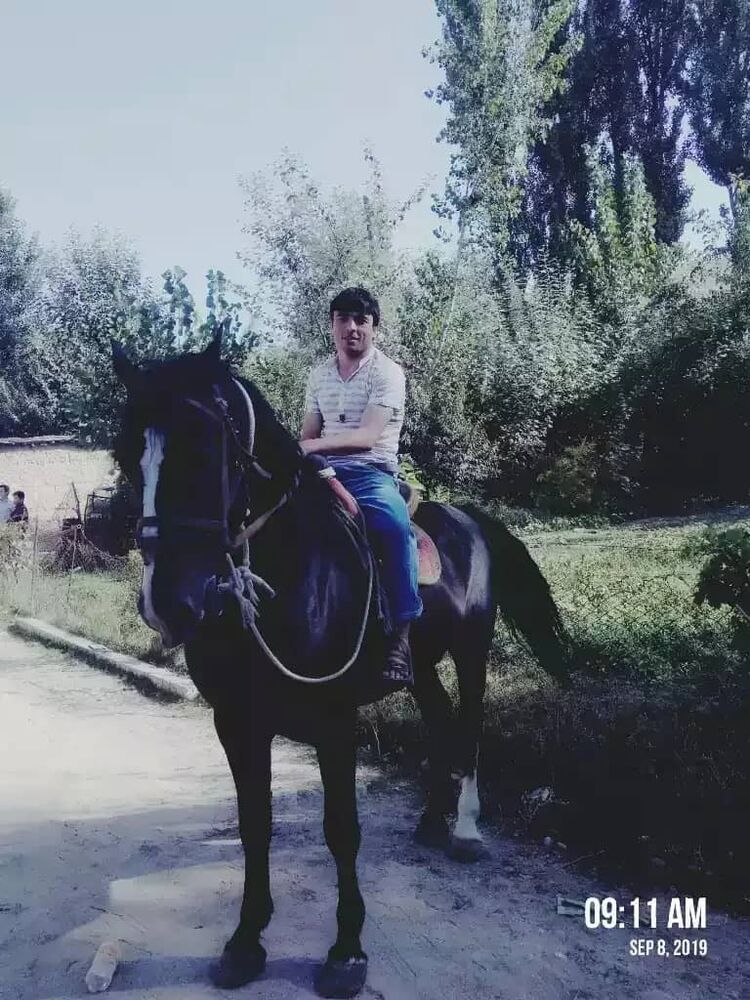  54454473  Roma, 28 ,    