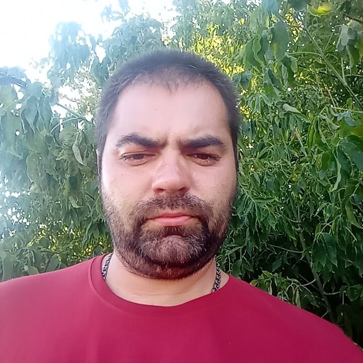  37357233  , 43 ,    