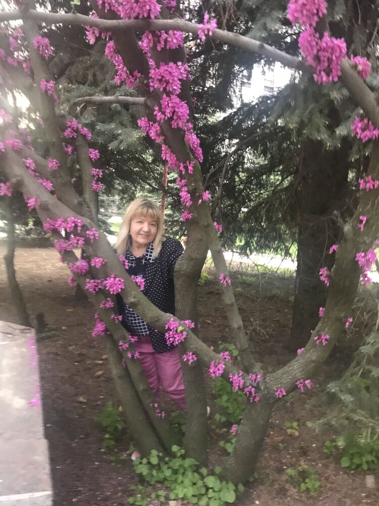  ,   , 66 ,   