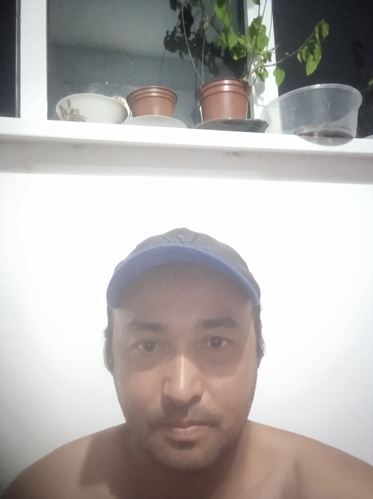  44120443  , 40 ,    