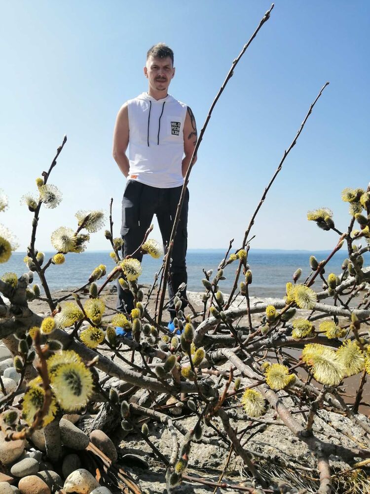  36656353  , 37 ,    -