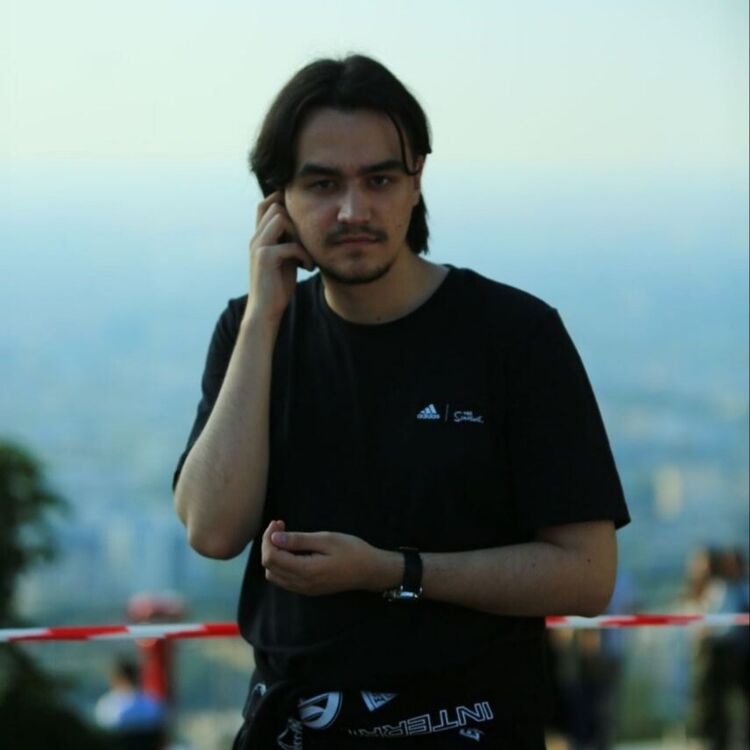  46173233  , 24 ,    -