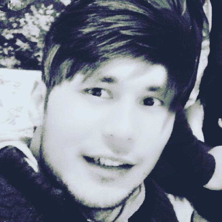 ���� 12190493 ������� Credo, 34 ����, ���� ���������� � ����������