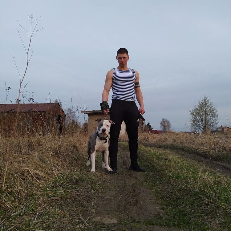 ���� 23256183 ����� �������, 25 ���, ���� ���������� � ������