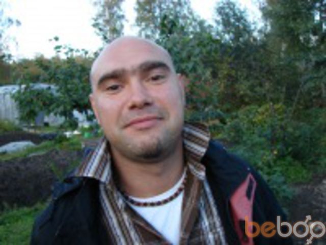 ���� 1305023 ������� Maxi, 50 ���, ���� ���������� � �����-����������