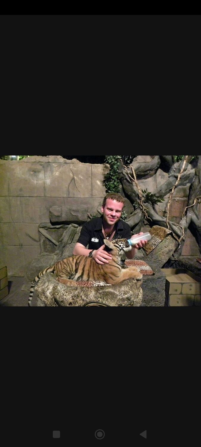 ���������� ����������, ���� ������� �������, 38 ���, ������������ ��� ������, ����� � ���������