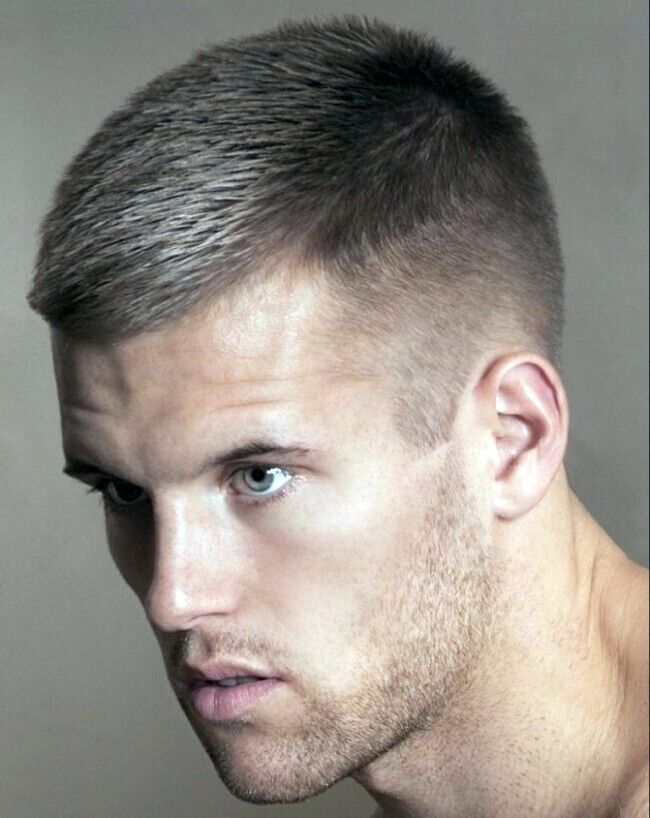 ���� 24661043 ������� �������, 34 ����, ���� ���������� � ��������