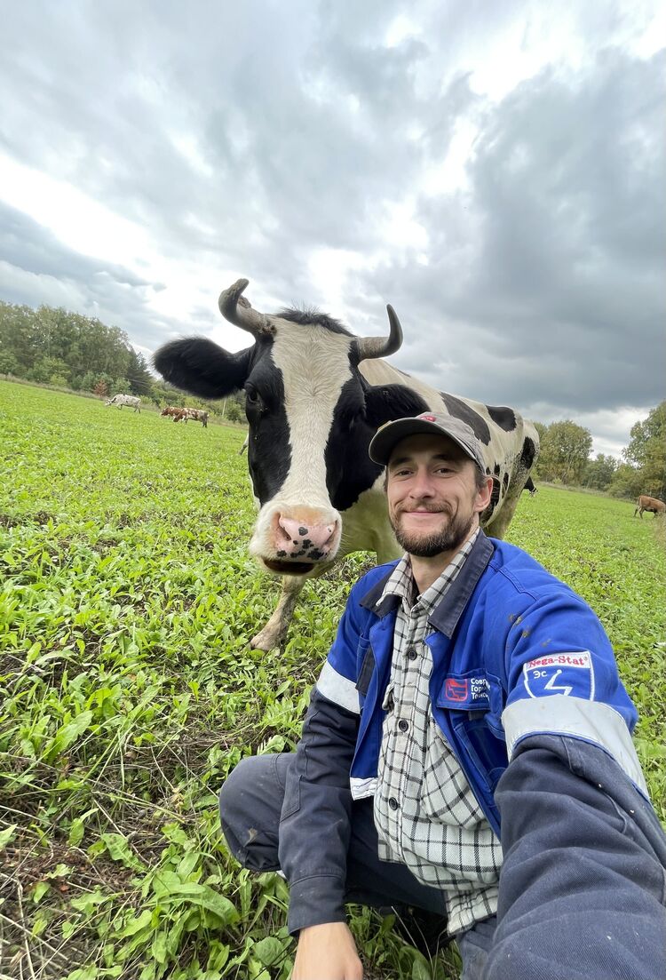  54586183  , 33 ,    -