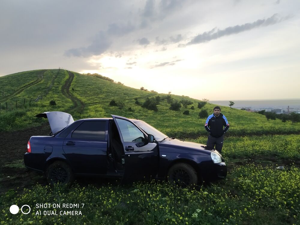 ���� 29544743 ������� �����, 29 ���, ���� ���������� � ���������