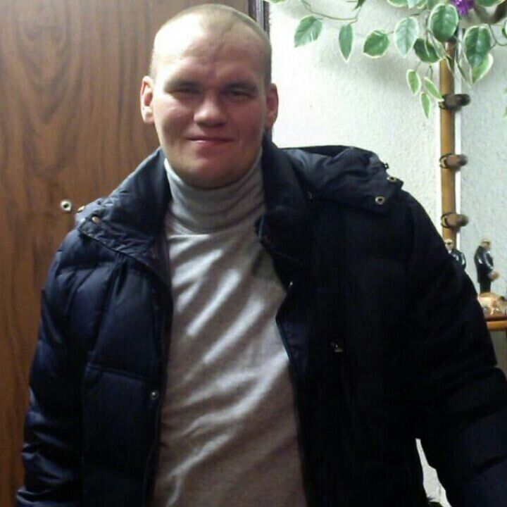  41334673  , 41 ,    