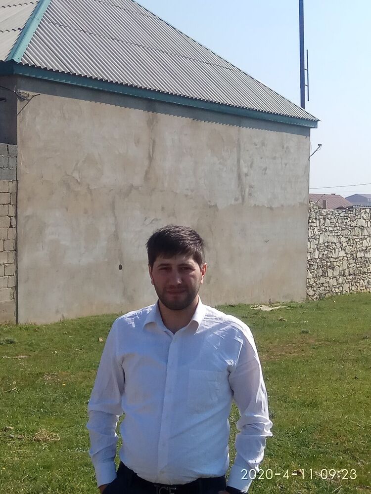  31372993  , 41 ,    
