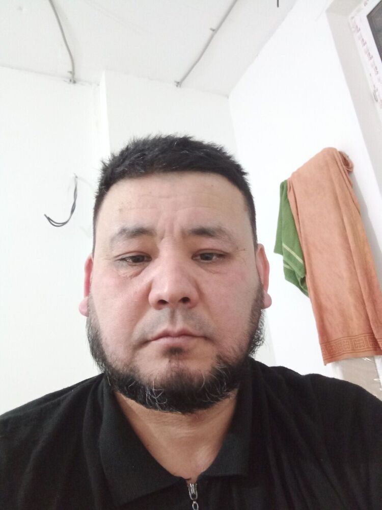 ���� 24953503 ������� ������, 44 ����, ���� ���������� � ������