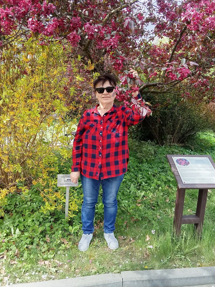 ���������� �����������, ���� ������� �������, 68 ���, ������������ ��� c�������� ���������