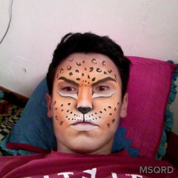 ,   Baxa, 27 ,   ,   , c 