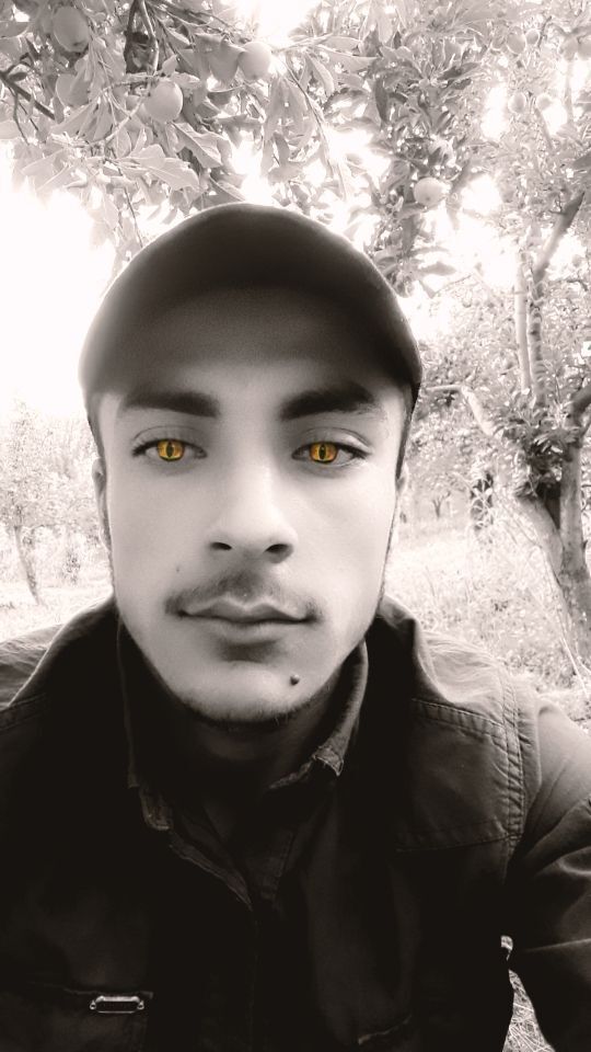 ���� 24224993 ����� ����, 23 ����, ���� ���������� � ������