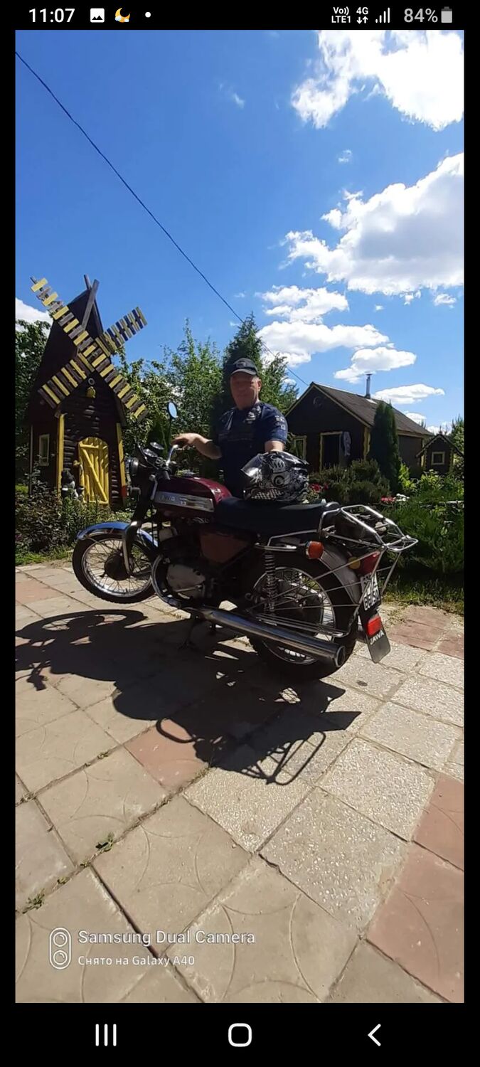  31791353  , 56 ,    
