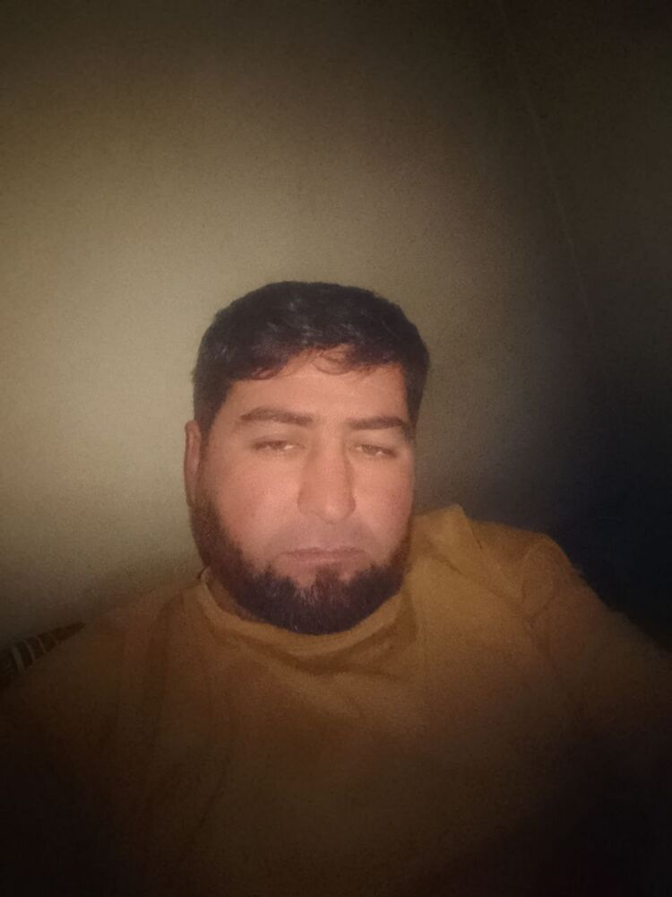  41043173  , 38 ,    