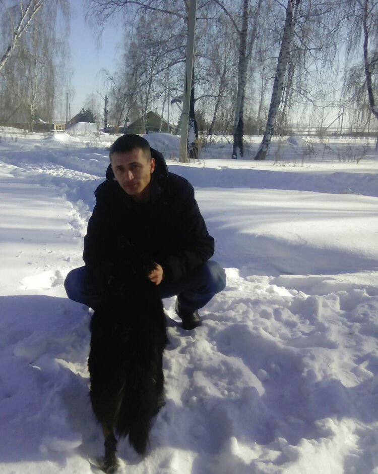  31658083  , 44 ,    