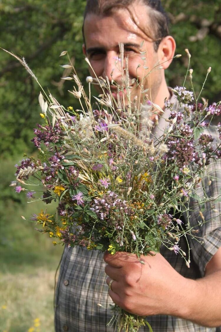 ���������� ������, ���� ������� �����, 46 ���, ������������ ��� ������, ����� � ���������, c�������� ���������