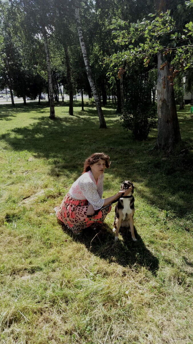  ,   , 53 ,  