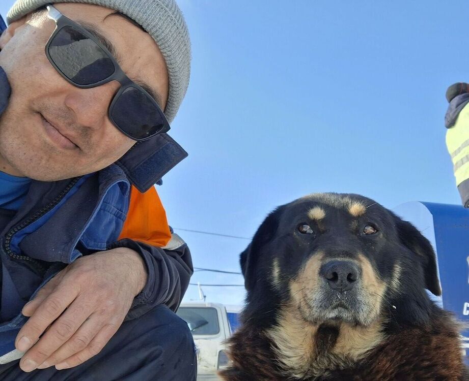 ���� 55097833 ������� Ը���, 35 ���, ���� ���������� � �����������