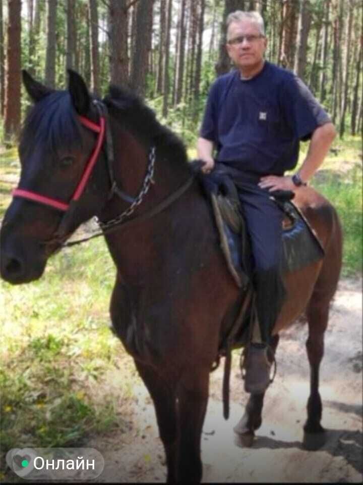  ,   , 52 ,   c , 