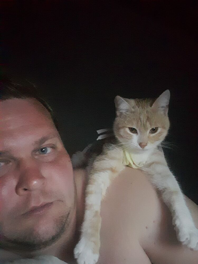 ���������� ���������, ���� ������� ���������, 36 ���, ������������ ��� ������, ����� � ���������, c�������� ���������