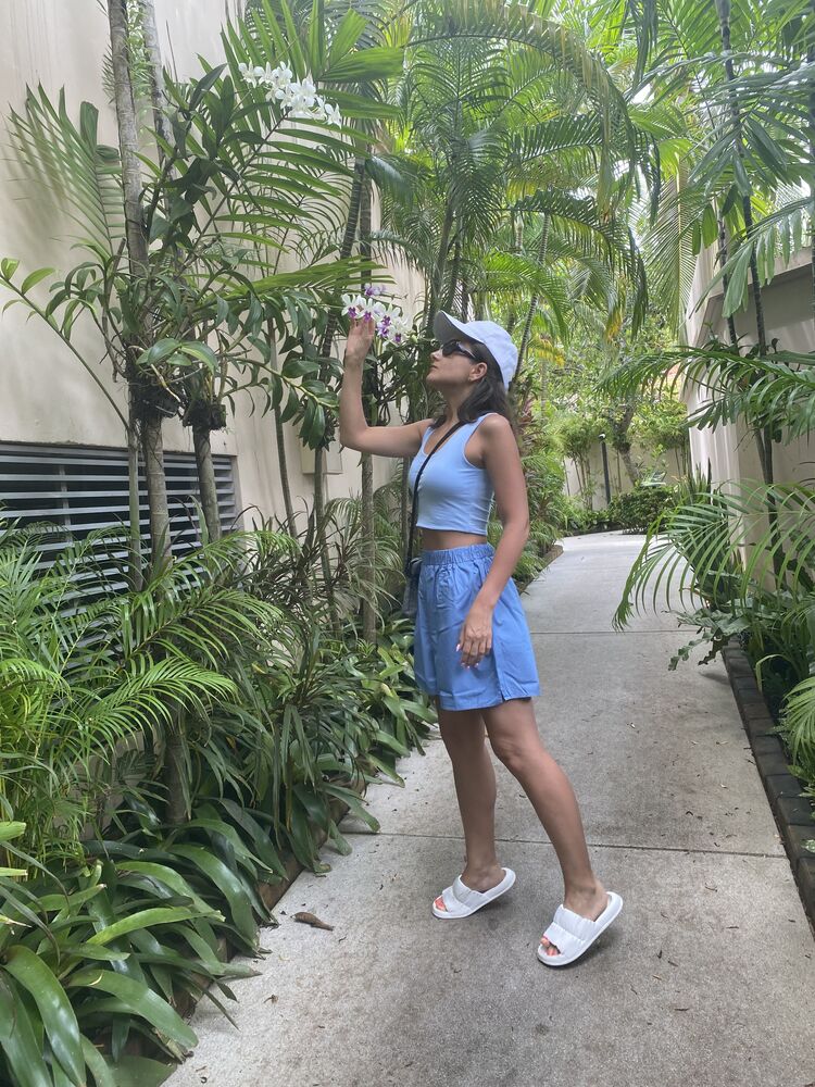 ���������� ������, ���� ������� ���������, 36 ���, ������������ ��� ����� � ���������, c�������� ���������