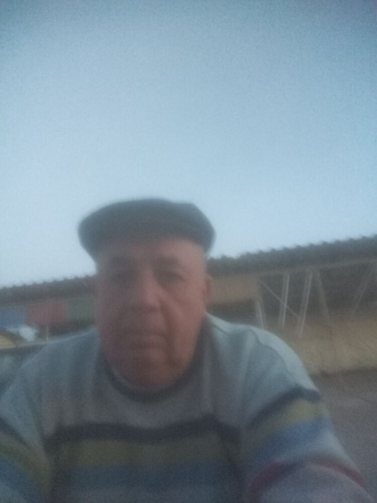  24024253  , 60 ,    