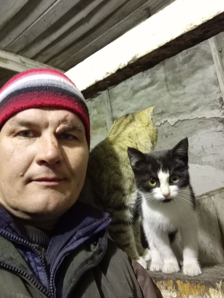 ���� 39495123 ������� ����, 43 ����, ���� ���������� � ����