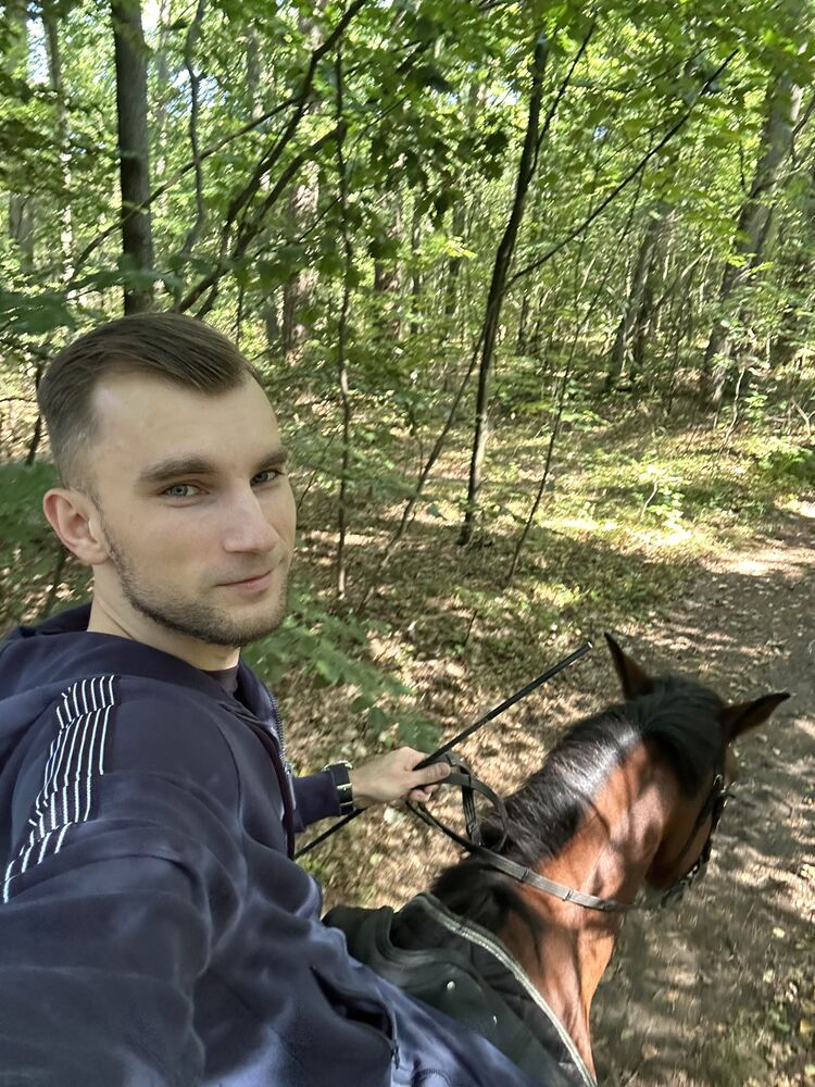  46250643  , 33 ,    