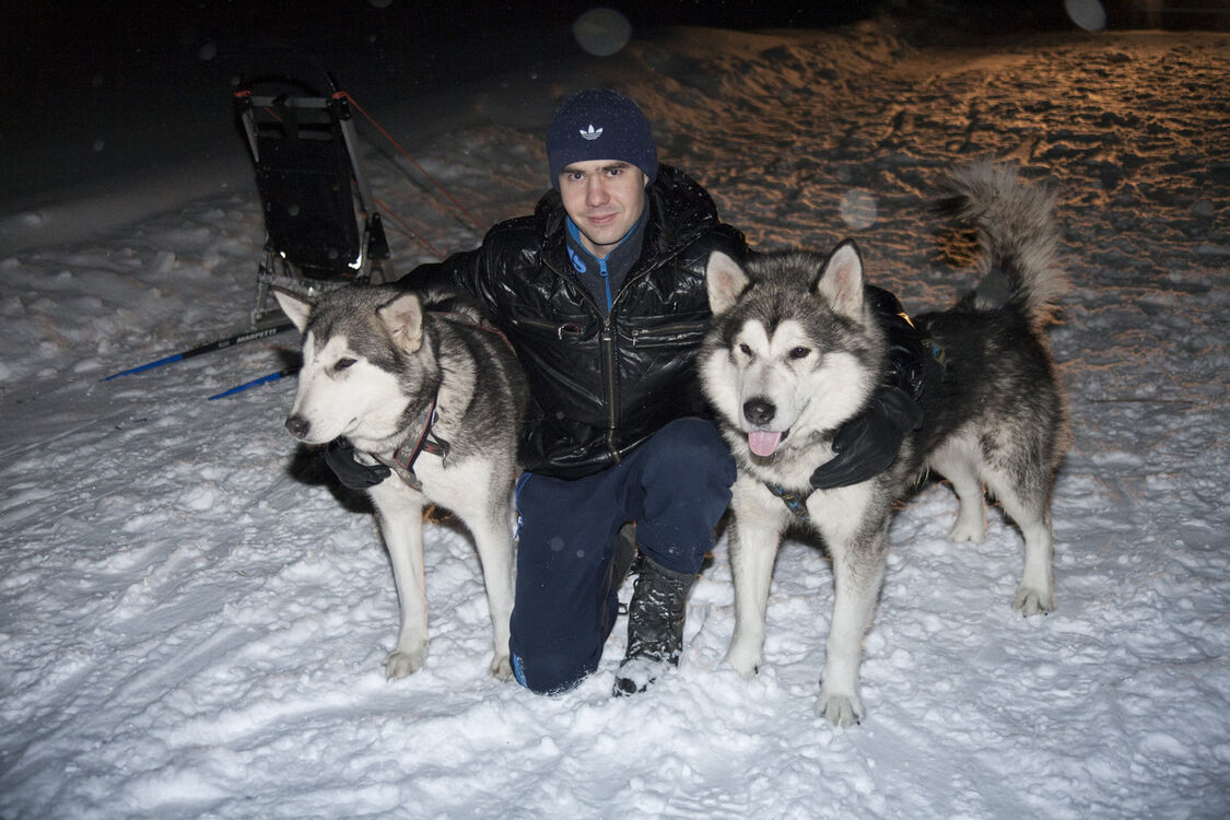 ���������� �����, ���� ������� �����, 36 ���, ������������ ��� ������