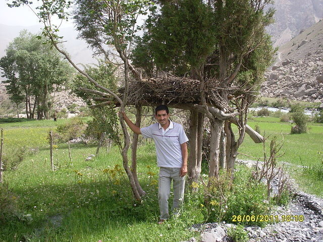  19306863  Rustam, 46 ,    