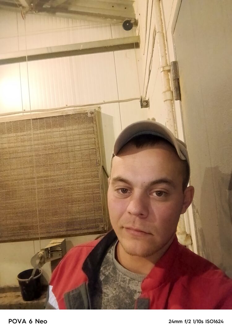  48136933  , 28 ,    