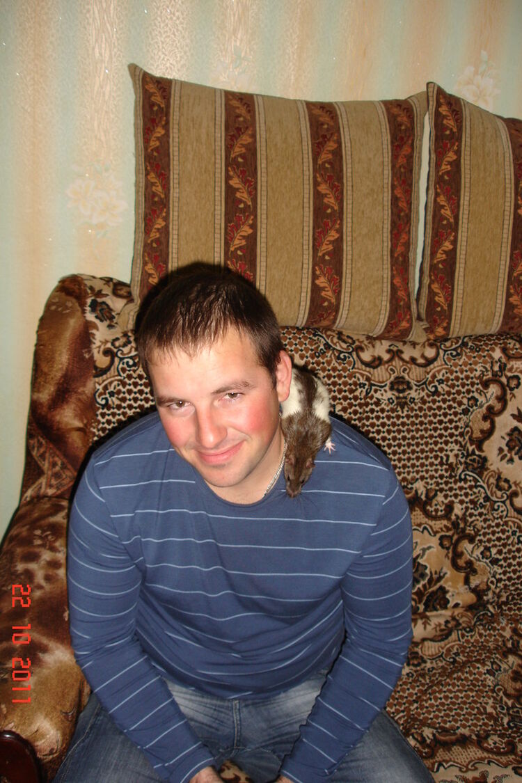 ���� 5310673 ������� Arti, 42 ����, ���� ���������� � ������������