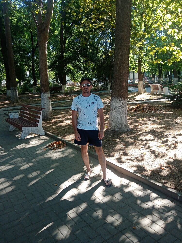  28239063  , 43 ,    