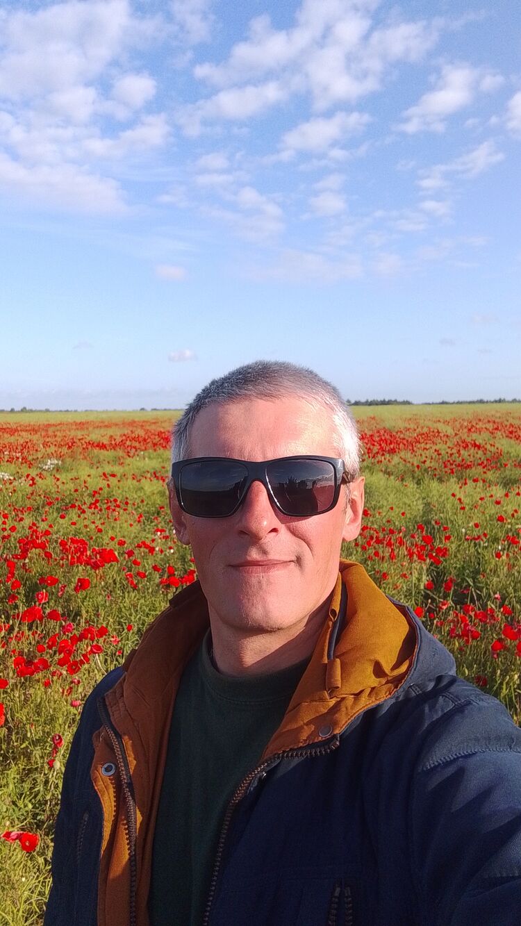 ���� 54652833 ������� ������, 38 ���, ���� ���������� � ��������