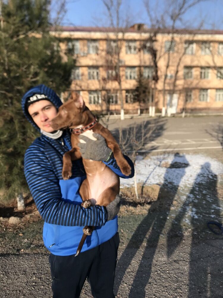 ���������� �������, ���� ������� ������, 31 ���, ������������ 